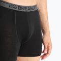 Термобоксери чоловічі icebreaker Anatomica black 7