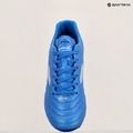 Бутси футбольні чоловічі Joma Aguila FG royal 14