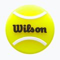 Поглинач вібрацій Wilson Roland Garros Tennis Ball 2 шт. yellow/ black/ white 3