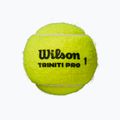 М'ячі тенісні Wilson Triniti Pro Tball 4 шт. жовті WR8204801001 2