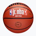 М'яч баскетбольний Wilson NBA JR Fam Logo Indoor Outdoor brown розмір 6 5