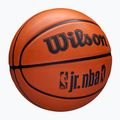 М'яч баскетбольний дитячий Wilson NBA JR Drv Fam Logo brown розмір 4 2