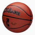 М'яч баскетбольний Wilson NBA Authentic City Chicago brown розмір 7 3