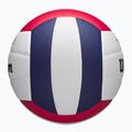 М'яч волейбольний Wilson Thrive red/white/navy розмір 5 5