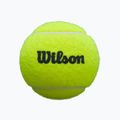 М'ячі для паделю Wilson Premier Padel 3 шт. yellow 5