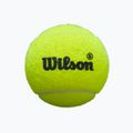 М'ячі для паделю Wilson Premier Padel Speed 3B 3 шт. yellow 2