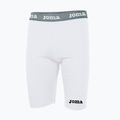 Шорти термічні чоловічі Joma Warm Fleece blanco