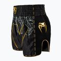 Шорти для тренувань чоловічі Venum Serpenti Muay Thai black/silver/gold 3