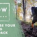 Рюкзак туристичний Salomon XT 10 l біло-чорний LC1764400 8