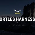 Страхувальна система альпіністська Salewa Ortles Harness жовта 00-0000001751 7