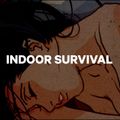 Сноуборд чоловічий CAPiTA Indoor Survival кольоровий 1211116/156 12