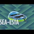 Плюшка для катання по воді JOBE Sea-esta Towable 3P блакитна 230320010 12