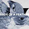 Сноуборд жіночий CAPiTA Birds Of A Feather 1221107 12