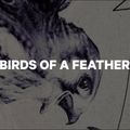 Сноуборд жіночий CAPiTA Birds Of A Feather білий 1211119 13