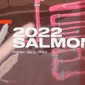 Вейкборд Slingshot Salmon рожевий 9