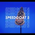 Кросівки для бігу жіночі HOKA Speedgoat 5 impala/flame 1123158-IFLM 17