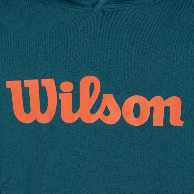 Кофта тенісна дитяча Wilson Script Cotton PO Hoody блакитна WRA769219 3
