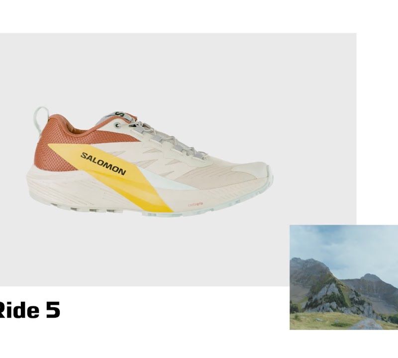 Кросівки для бігу чоловічі Salomon Sense Ride 5 чорні L47214300 16