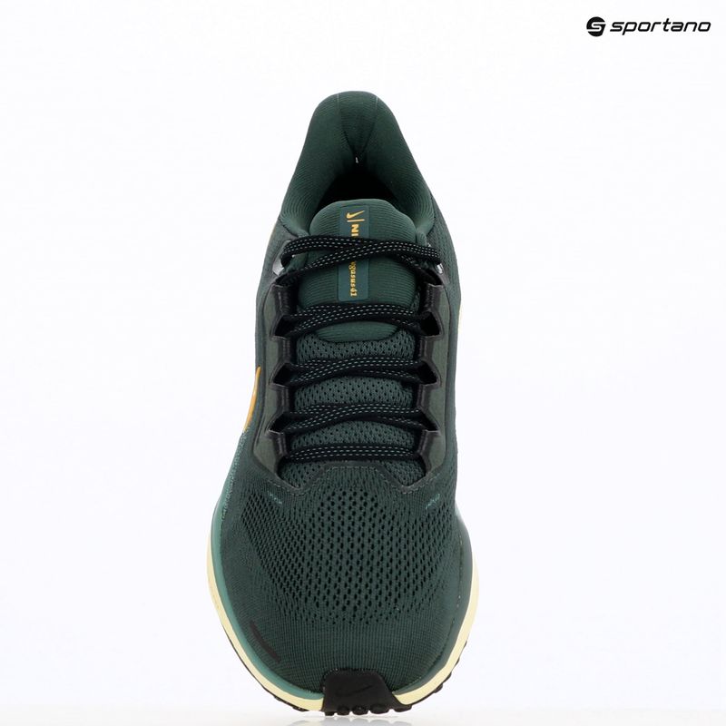 Кросівки для бігу чоловічі Nike Pegasus 41 vintage green / bicoastal / black / infinite gold 9