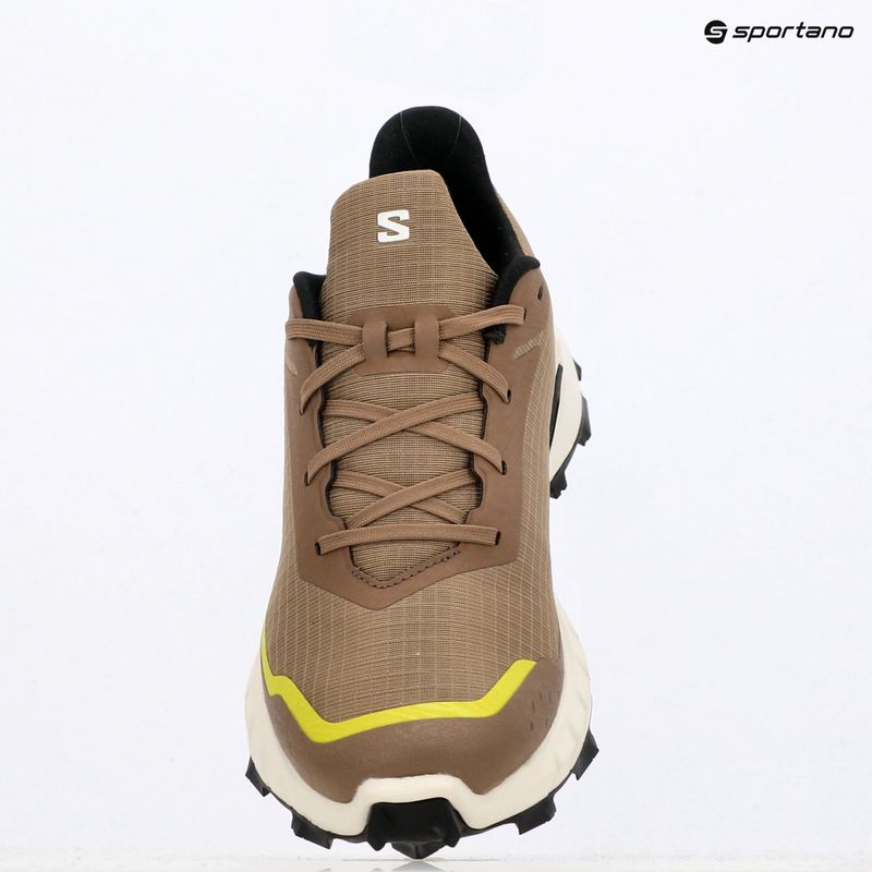 Чоловічі кросівки Salomon Alphacross 5 caribou/canteen/ulphr 18