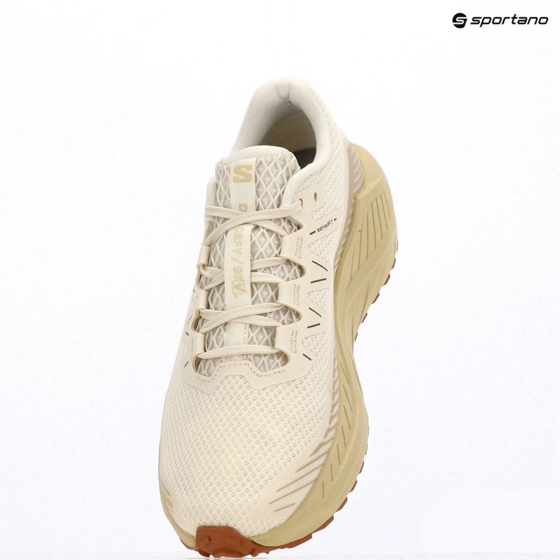 Кросівки для бігу чоловічі Salomon Drx Defy GRVL vanilla ice/green haze/white pepper 14