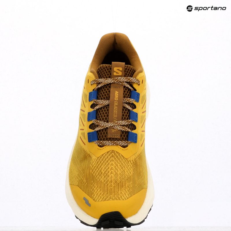 Кросівки для бігу чоловічі Salomon Aero Blaze 3 GRVL spicy mustard/vanilla ice/nautical blue 9