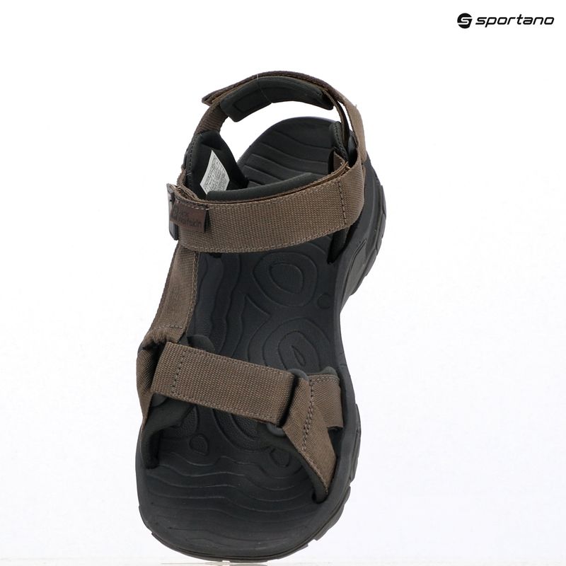 Сандалі чоловічі Jack Wolfskin Lakewood Ride cold coffee 12