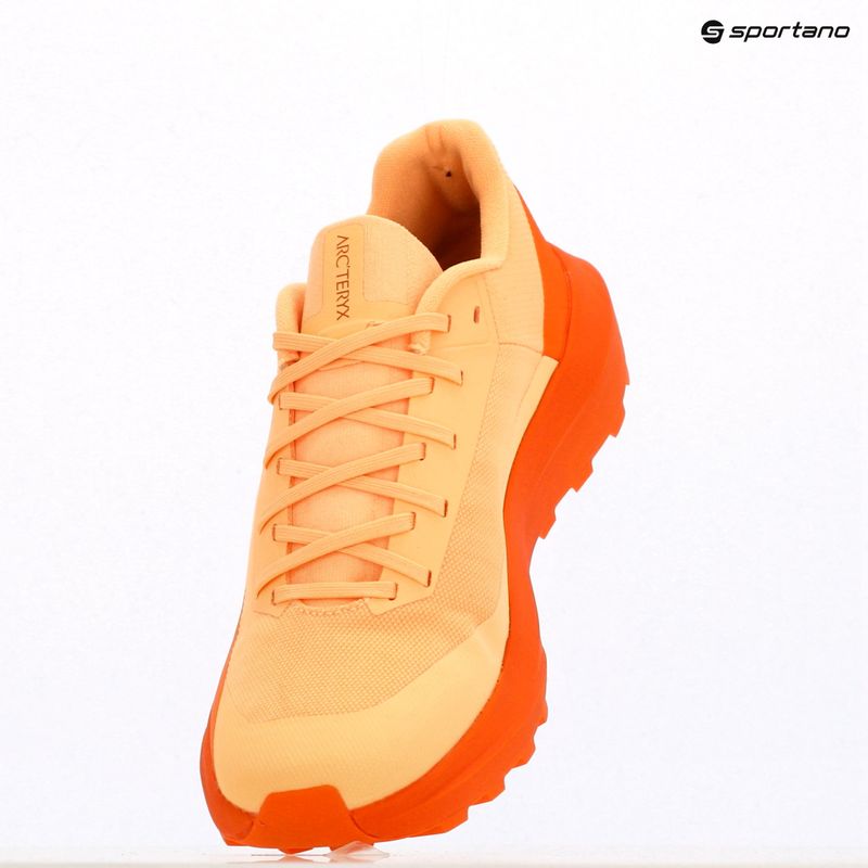 Кросівки для бігу жіночі Arcteryx Norvan LD 4 luminary / verve 11