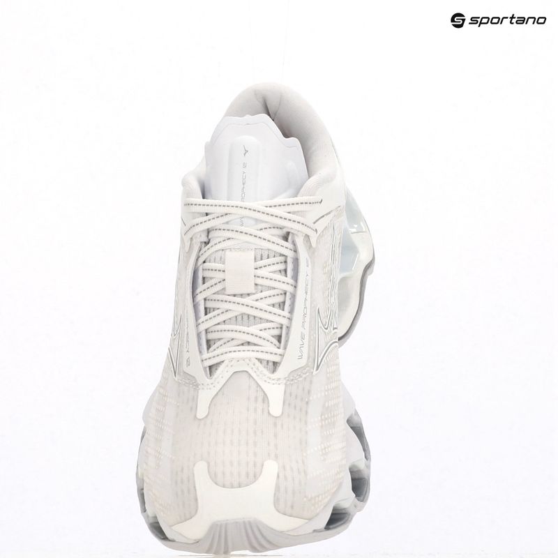 Кросівки для бігу жіночі Mizuno Wave Prophecy 12 white/silver 9