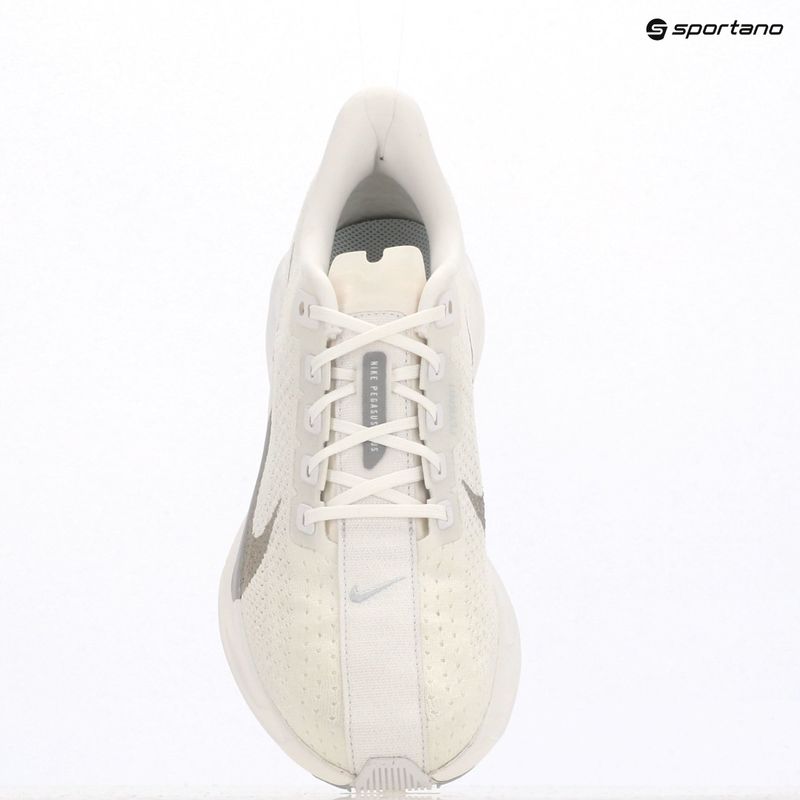 Кросівки для бігу чоловічі Nike Pegasus Plus white / pure platinum / wolf grey 19