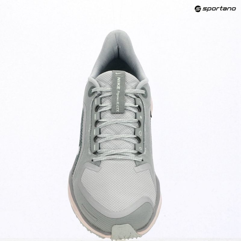 Кросівки для бігу чоловічі Nike Pegasus 41 GTX light pumice/pure platinum/silt red/metal silver 13