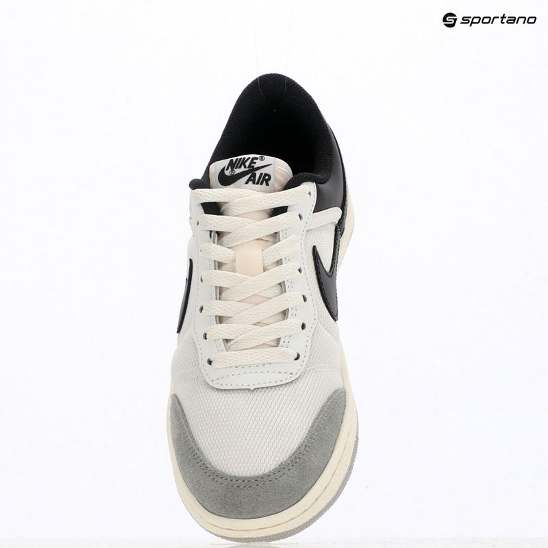 Чоловіче взуття Air Jordan Skyline Low summit white/light smoke grey/black 11