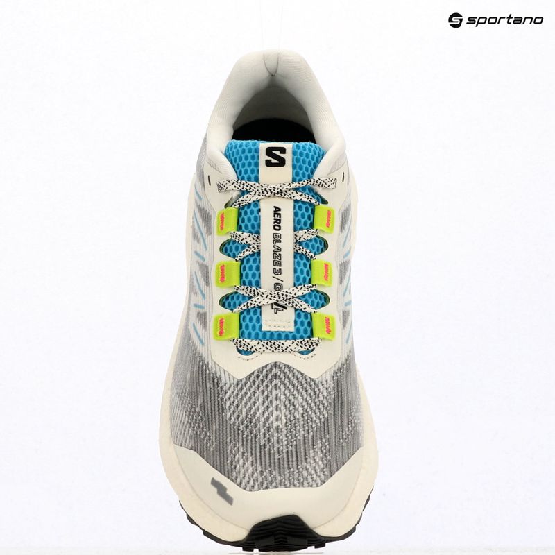 Кросівки для бігу чоловічі Salomon Aero Blaze 3 GRVL vanilla ice/ojos del salar/black 13
