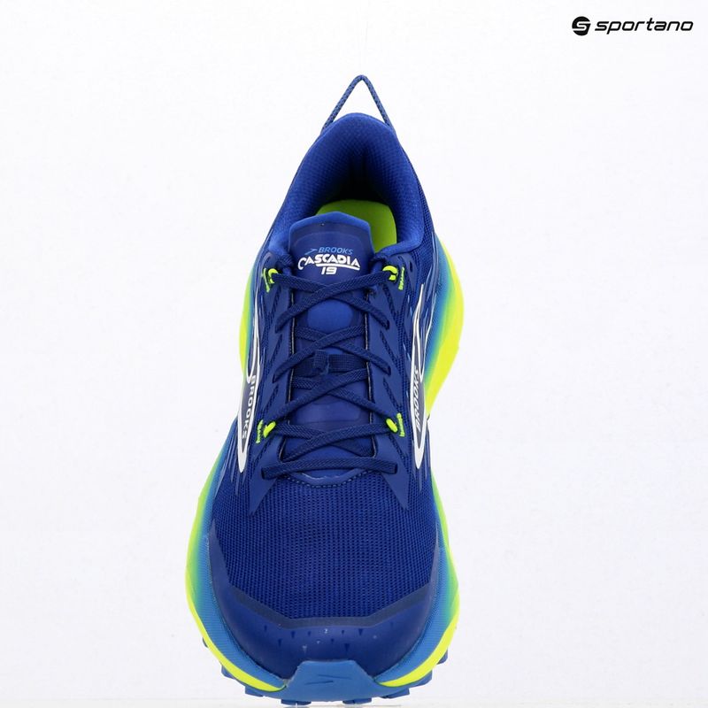 Кросівки для бігу чоловічі Brooks Cascadia 19 surf the web/nightlife/white 10