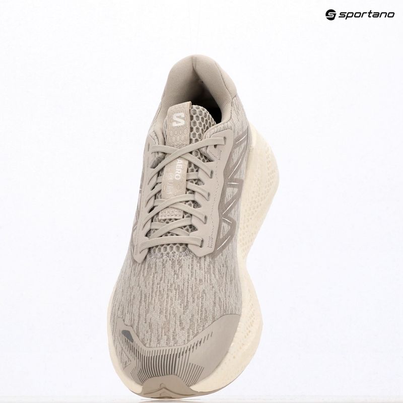 Кросівки для бігу чоловічі Salomon Aero Glide 4 silver/silver/white 4