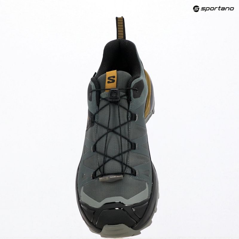 Кросівки трекінгові чоловічі Salomon X Ultra 360 GTX urban chic/black 10