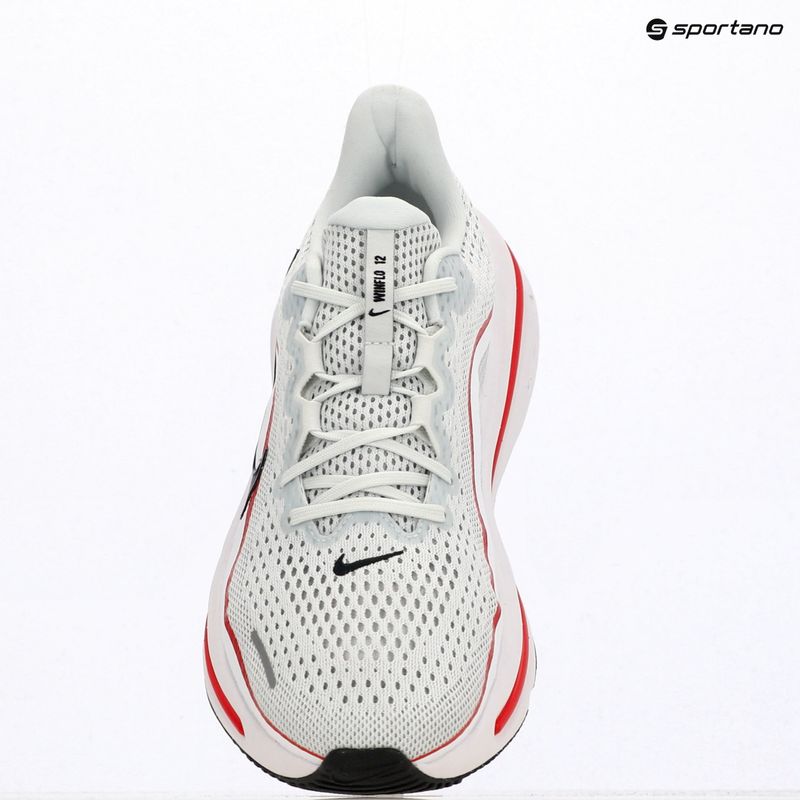 Кросівки для бігу чоловічі Nike Winflo 12 off white/white/wolf grey/black 6