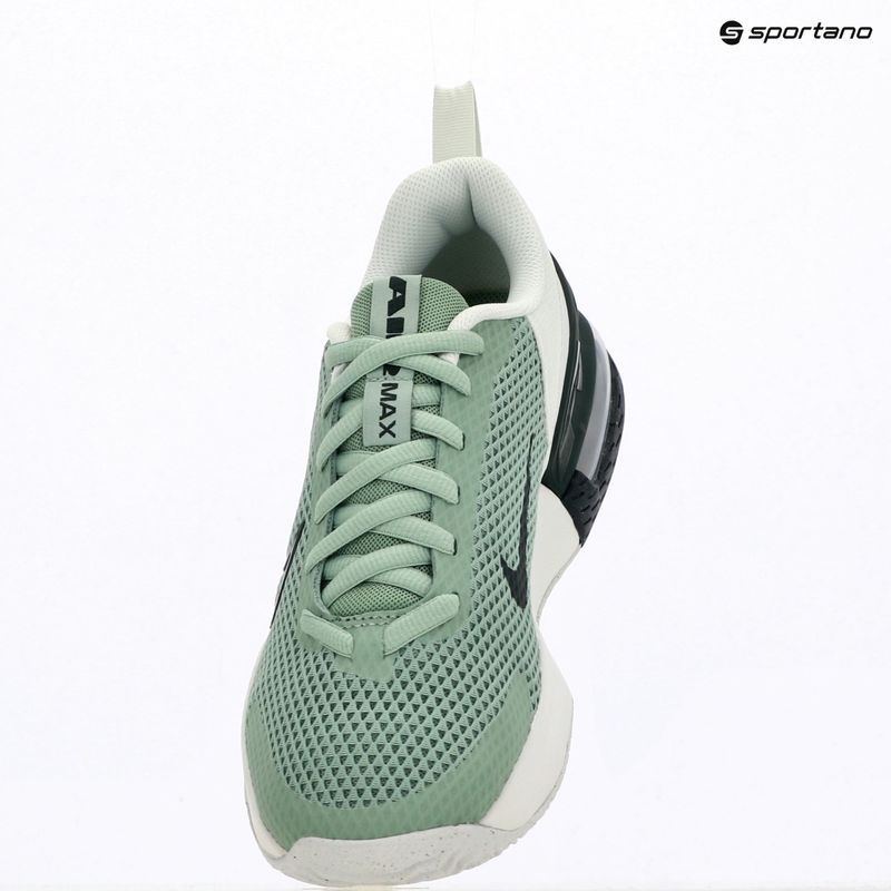 Кросівки для тренувань чоловічі Nike Air Max Alpha Trainer 6 steam/spruce aura/off white/black spruce 13