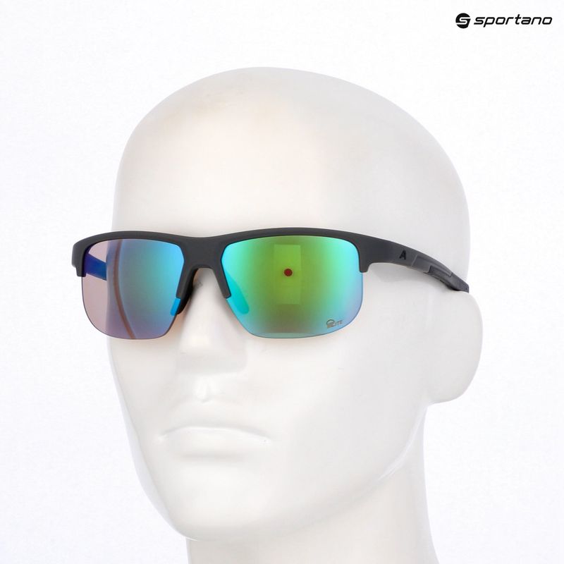 Окуляри сонцезахисні Alpina Eagle Q-Lite midnight/grey matt/green 7