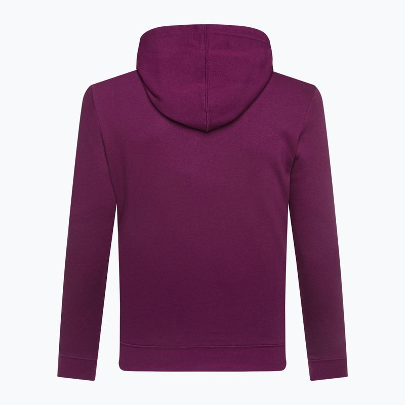 Кофта чоловіча GAP V-Heritage Logo PO SNL beach plum 3