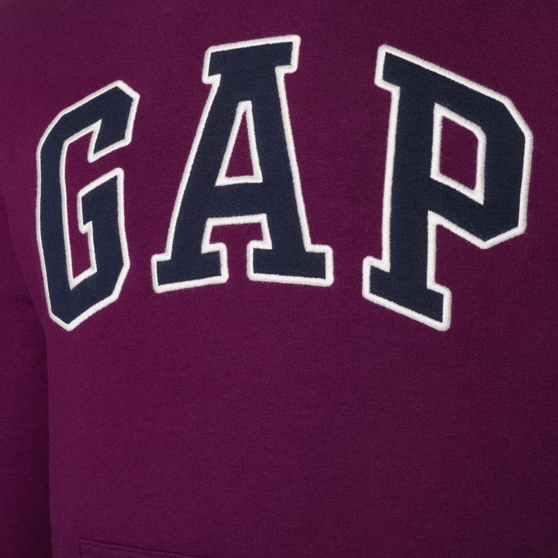 Кофта чоловіча GAP V-Heritage Logo PO SNL beach plum 4