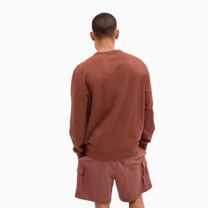 Кофта чоловіча GAP Logo Crewneck burnt russet 2