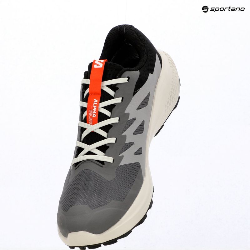 Кросівки для бігу чоловічі Salomon Alphaglide GTX castlerock/lunar rock 9
