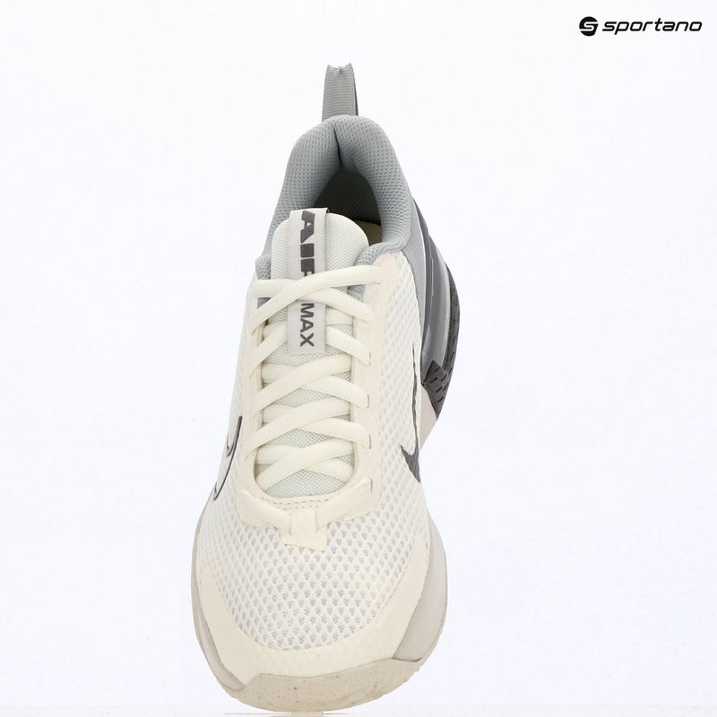 Кросівки для тренувань чоловічі Nike Air Max Alpha Trainer 6 sail/light smoke grey/phantom/pencil point 5