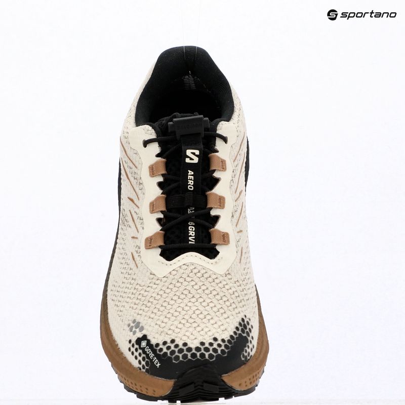 Кросівки для бігу жіночі Salomon Aero Blaze 4 GRVL GTX vanilla ice/black 17