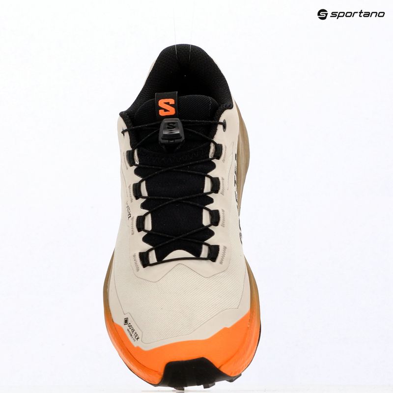 Кросівки для бігу жіночі Salomon Genesis 2 GTX rainy day/desert tan 15