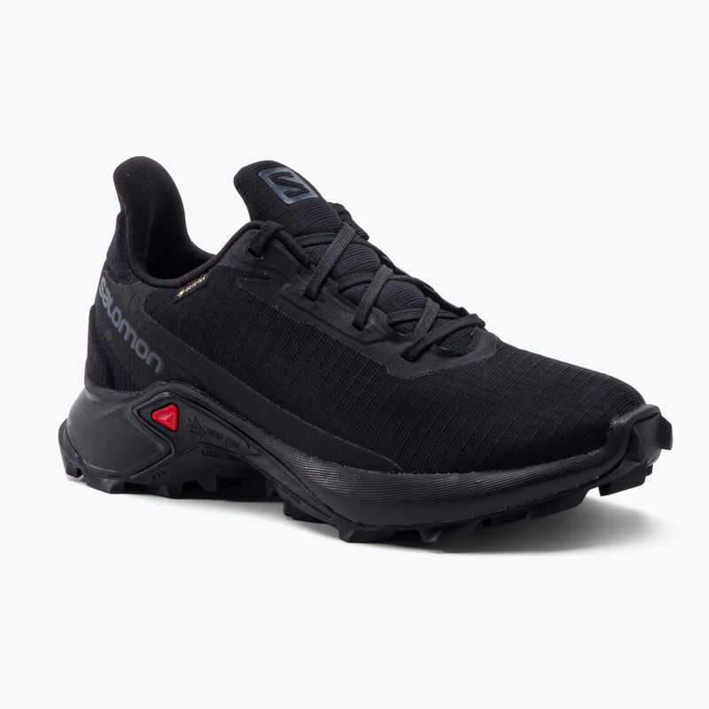 Кросівки для бігу жіночі Salomon Alphacross 3 GTX black/black