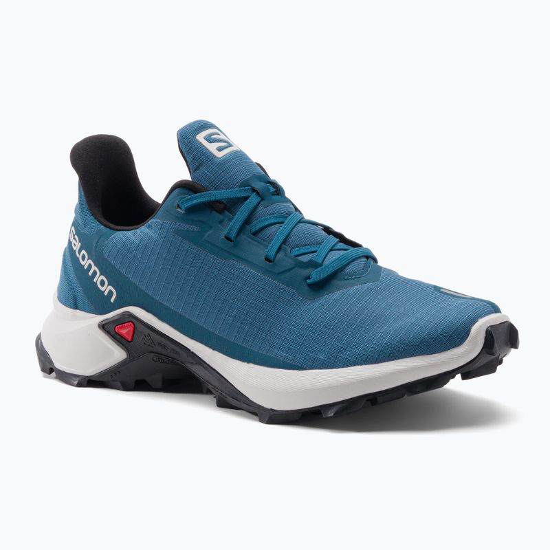 Кросівки для бігу чоловічі Salomon Alphacross 3 bluesteel/lunar rock/black