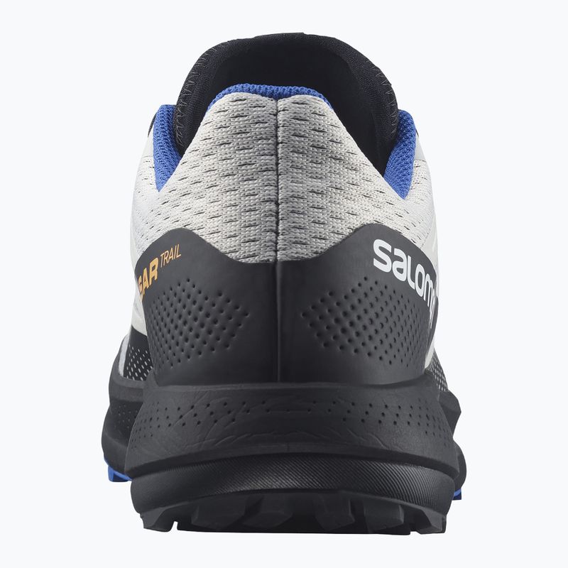 Кросівки для бігу чоловічі Salomon Pulsar Trail lunroc/black/dazzling 10