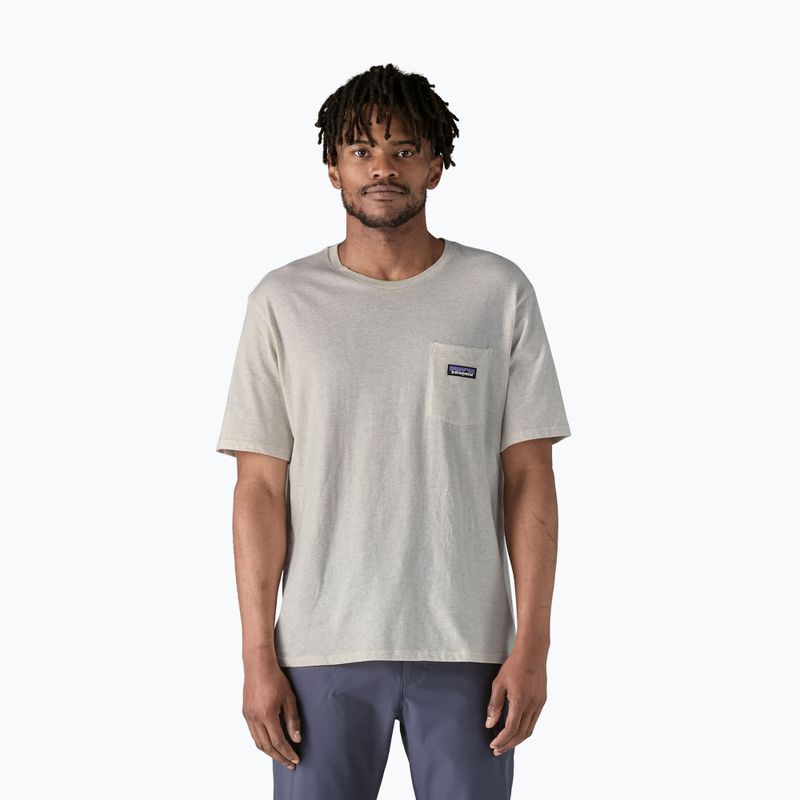 Футболка чоловіча Patagonia Daily Pocket Tee birch white